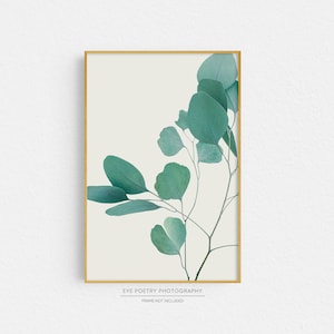 Silver Dollar Eucalyptus Print, Minimalist Botanical Print, Nature Photography, Green Wall Art, Large Leaf Art, 5x7 to 30x40