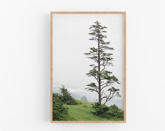 Oregon Coast Photography Print, Cannon Beach Wall Art, Coastal Wall Decor