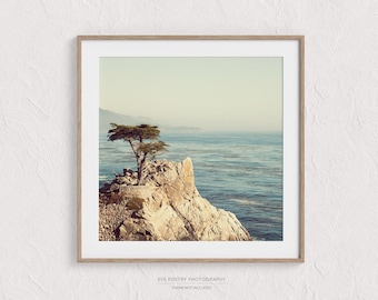 Big Sur, California Wall Art, Lone Tree, California Coast, Landscape Photography, Nature Photography, Photo Print, Ocean Print,17 Mile Drive