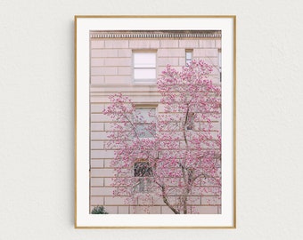 New York Print, Spring Blossoms, Pink Wall Art Print, New York City Photography, Travel NYC Print