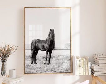 Horse Print, Black and White Prints, Black Stallion, Nature Wall Art, Prints, Fine Art Photography Print