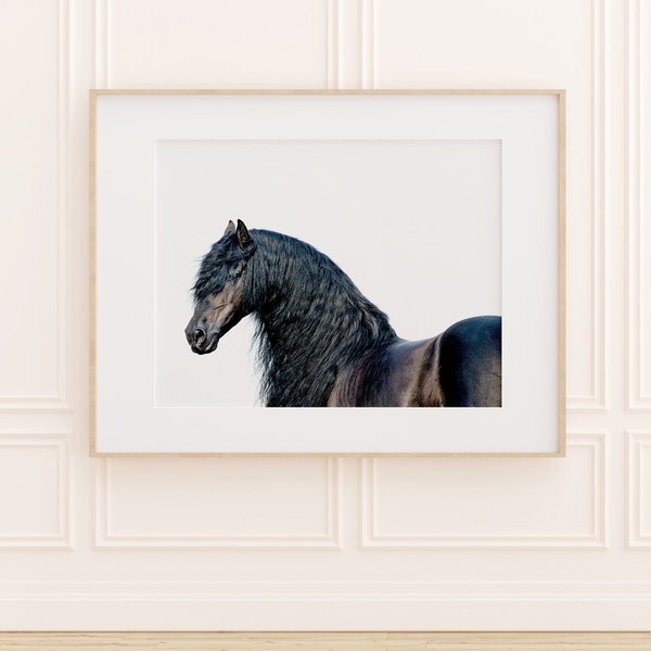 Black Horse Print, Friesian Horse, Long Mane, Horse Art, Neutral Wall Art Print, Fine Art Horse Photography, Nature Photography Print