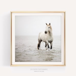 White Horse Photography Print, Minimalist Wall Art, Large Fine Art, Nature Horse Print, Neutral Wall Decor