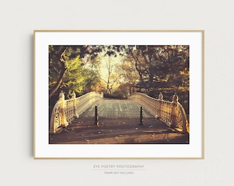 Central Park in Autumn, New York City Photography, Fall Decor, NYC Bridge Photo, Fall Photography Print, New York Print, Wall Art