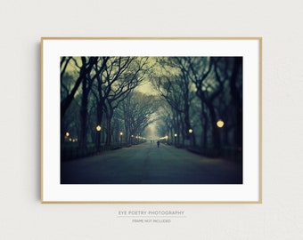 Central Park at Night, New York Photography Print, Fine Art Photography, New York Print, Indigo Blue, Large Wall Art