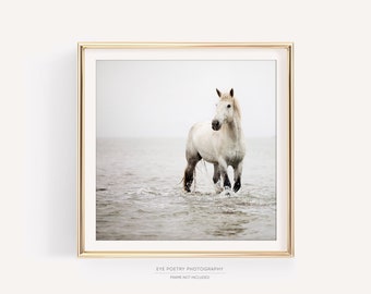 White Horse Photography Print, Minimalist Wall Art, Large Fine Art, Nature Horse Print, Neutral Wall Decor