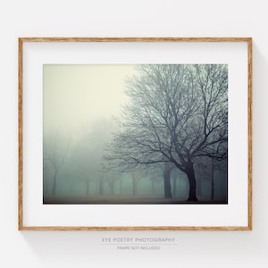 Trees Print, Foggy Landscape Photography, Woodland Decor, Nature, Nordic Print, Fine Art Photography, Blue Wall Art