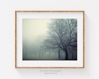 Trees Print, Foggy Landscape Photography, Woodland Decor, Nature, Nordic Print, Fine Art Photography, Blue Wall Art