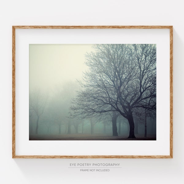 Trees Print, Foggy Landscape Photography, Woodland Decor, Nature, Nordic Print, Fine Art Photography, Blue Wall Art