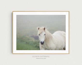 Icelandic Horse Photography Print, Horse Gifts, Nature Photography, Horse Print, Large Wall Art, Wall Decor, Home Decor