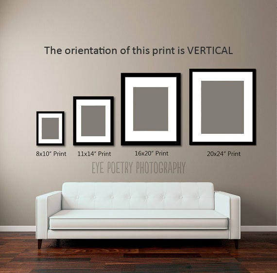 new orleans photography print