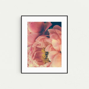 Peony Prints, Floral Boho Gallery Wall Art, Set of 3 Prints, Botanical Prints, Boho Decor, Pink Wall Art, Prints, Flower Photography image 5