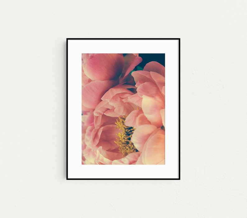 Peony Prints, Floral Boho Gallery Wall Art, Set of 3 Prints, Botanical Prints, Boho Decor, Pink Wall Art, Prints, Flower Photography image 5