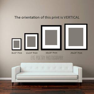 May include: A comparison of five different sizes of vertical prints, ranging from 8x10 inches to 20x24 inches. The prints are displayed on a light brown wall with a white couch in the foreground. The text "EYE POETRY PHOTOGRAPHY" is displayed below the prints.