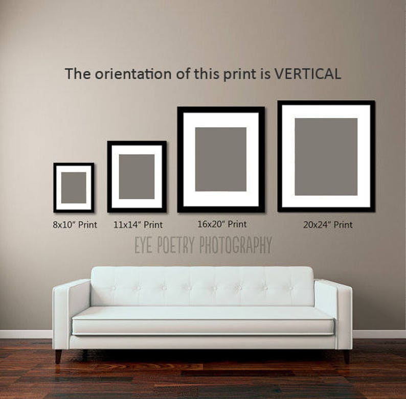 May include: A comparison of five different sizes of vertical prints, ranging from 8x10 inches to 20x24 inches. The prints are displayed on a light brown wall with a white couch in the foreground. The text "EYE POETRY PHOTOGRAPHY" is displayed below the prints.