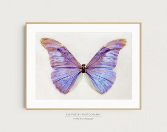 Nature Photography, Purple Butterfly Print, Nature Print, Butterfly Art Print, Nature Lover Gift, Butterfly Wall Art "Irridescence"