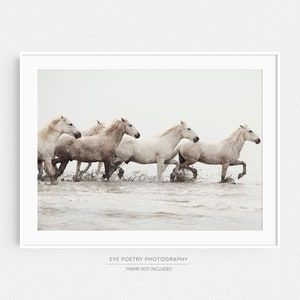 White Horse Print, Horse Art Print, Nature Photography, Wild Camargue Horses, Beige Horizontal Wall Art, Fine Art Photography Print image 10