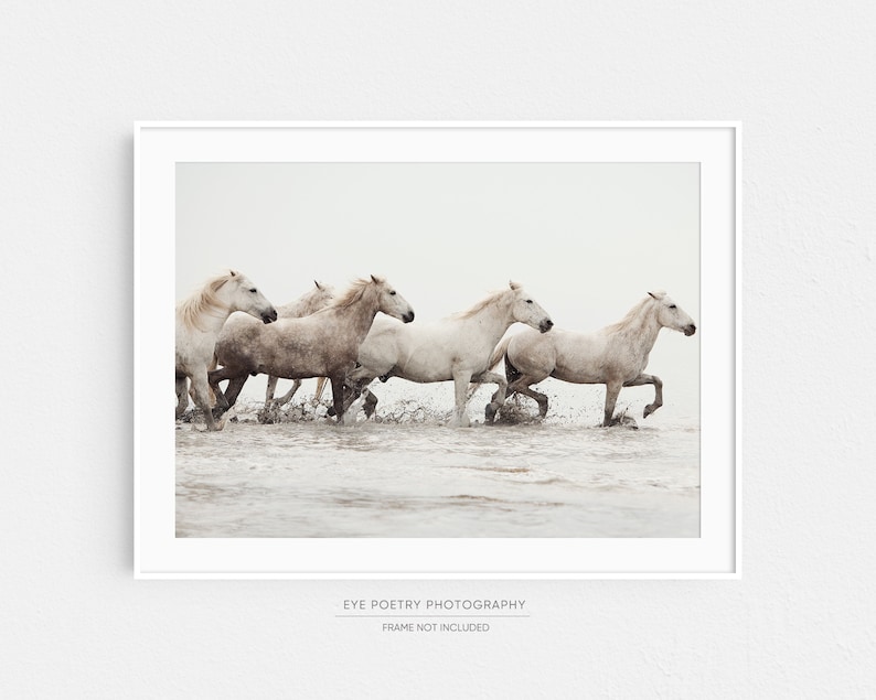 White Horse Print, Horse Art Print, Nature Photography, Wild Camargue Horses, Beige Horizontal Wall Art, Fine Art Photography Print image 10