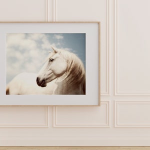 Horse Photography, Wild White Horse Portrait, Large Wall Art Print, Horse Art, 16x20 Fine Art Nature Photography Print image 4