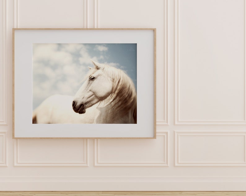 Horse Photography, Wild White Horse Portrait, Large Wall Art Print, Horse Art, 16x20 Fine Art Nature Photography Print image 4