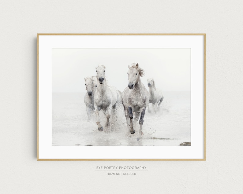 Horse Art, Black and White Prints, Nature Photography, Horse Photography Print, Horse Wall Art, Fine Art Prints image 4