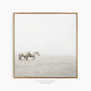 Horse Print, Minimalist Wall Art Print, Fine Art Nature Photography Print, White Horse Art, Nordic Print, Scandinavian Wall Art image 4