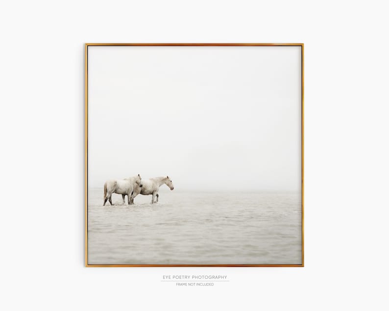 Horse Print, Minimalist Wall Art Print, Fine Art Nature Photography Print, White Horse Art, Nordic Print, Scandinavian Wall Art image 4