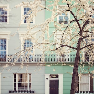 May include: Two pastel-colored houses with white trim and black iron balconies. A blooming cherry tree with white blossoms is in front of the houses. The house on the right has a black door with the number 215 above it.