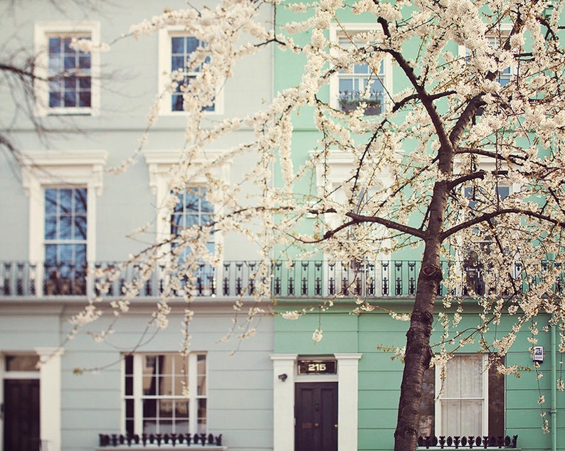 May include: Two pastel-colored houses with white trim and black iron balconies. A blooming cherry tree with white blossoms is in front of the houses. The house on the right has a black door with the number 215 above it.