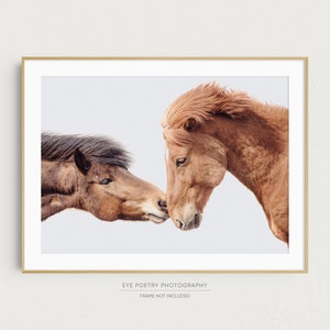 Horse Art, Kissing Horses Print, Modern Farmhouse Decor, Iceland Nature Print, Bedroom Wall Art Print, Nature Photography Print