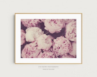 Pink Peonies, Flower Photography, Nature Photography, Garden Gifts, Peony Print, Floral Wall Art, Shabby Chic Wall Decor "Persuasion"