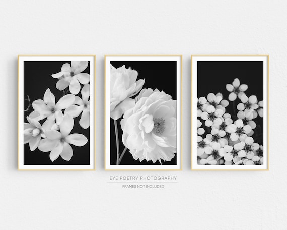 Flower Photography Prints Set of 3 Black and White Floral Prints