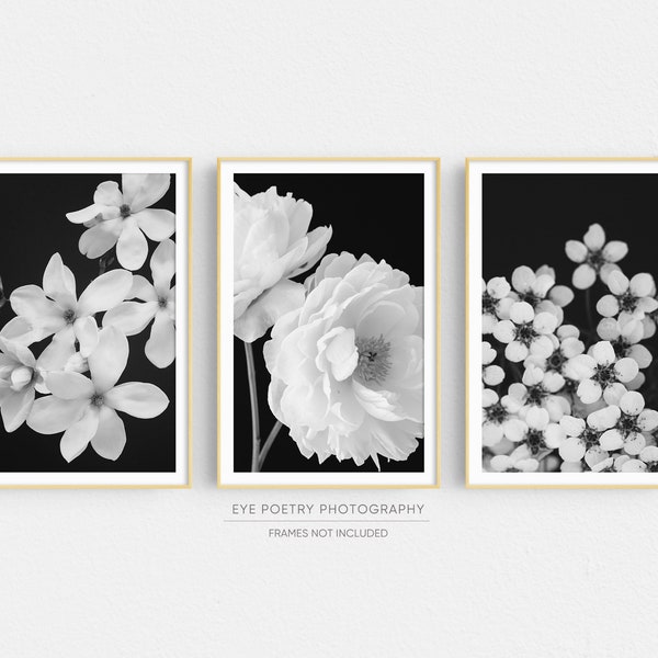 Flower Photography Prints, Set Of 3 Black and White Floral Prints, Wall Art, Prints, Floral, Flower Print Set, Nature Photography