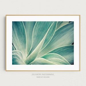 Agave Photograph, Cactus Print, Nature Photography Print, Colorful Home Decor, Blue Green, Tropical Decor, Botanical Print "Desert Flower"