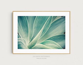 Agave Photograph, Cactus Print, Nature Photography Print, Colorful Home Decor, Blue Green, Tropical Decor, Botanical Print "Desert Flower"