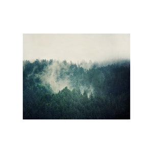 Forest Canvas Print, Large Wall Art, Canvas Art, Landscape Photography, Foggy Forest, Teal Wall Decor, Home Decor, Living Room Wall Art image 5