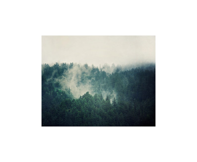 Forest Canvas Print, Large Wall Art, Canvas Art, Landscape Photography, Foggy Forest, Teal Wall Decor, Home Decor, Living Room Wall Art image 5