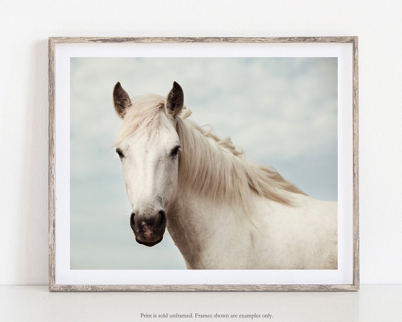 White Horse Print, Wall Art Prints, Nature Photography Print, Horse Art, Horizontal Wall Art, Wall Decor, Large Art, Horse Gifts 