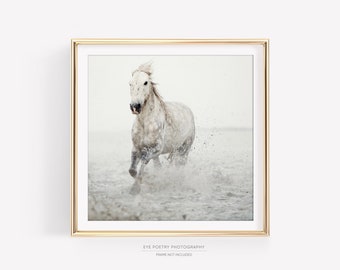 White Horse Print, Fine Art Nature Photography, Minimalist Wall Art, Large Square or Horizontal Wall Decor