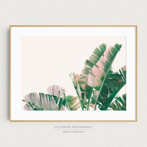 K&ouml;nnte beinhalten: Ein gerahmter Druck eines Fotos mit einer Nahaufnahme von gr&uuml;nen und rosafarbenen Bananenbl&auml;ttern vor wei&szlig;em Hintergrund. Der Text "EYE POETRY PHOTOGRAPHY" und "FRAME NOT INCLUDED" ist unter dem Bild gedruckt.