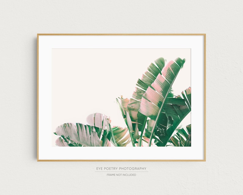 K&ouml;nnte beinhalten: Ein gerahmter Druck eines Fotos mit einer Nahaufnahme von gr&uuml;nen und rosafarbenen Bananenbl&auml;ttern vor wei&szlig;em Hintergrund. Der Text "EYE POETRY PHOTOGRAPHY" und "FRAME NOT INCLUDED" ist unter dem Bild gedruckt.