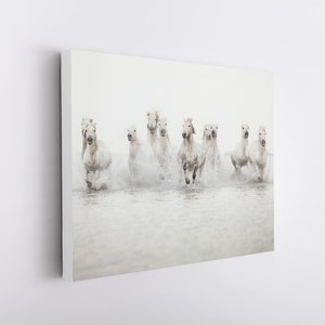 May include: A group of white horses running through shallow water, creating a spray of water. The horses are all facing forward and have their heads held high.