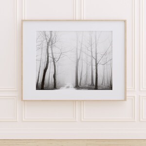 May include: A black and white photograph of a foggy forest path. The trees are tall and bare, and the path is lined with fallen leaves. The fog creates a sense of mystery and solitude.