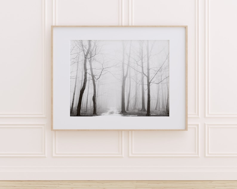 May include: A black and white photograph of a foggy forest path. The trees are tall and bare, and the path is lined with fallen leaves. The fog creates a sense of mystery and solitude.