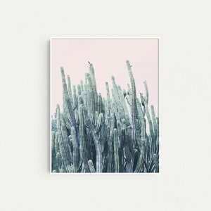 Cactus Prints, Boho Gallery Wall Art, Set of 3 Prints, Botanical Prints ...