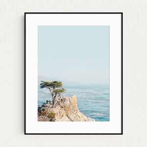 California Print, Lone Cypress Tree Photo, Monterey Coast, Big Sur Nature, Landscape Photography, Beach Wall Art, Ocean Print image 7