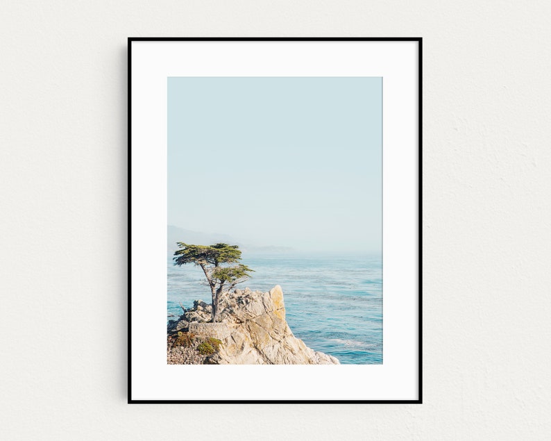 California Print, Lone Cypress Tree Photo, Monterey Coast, Big Sur Nature, Landscape Photography, Beach Wall Art, Ocean Print image 7