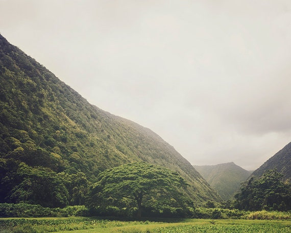 Hawaii Art, Nature Photography Print, Big Island Landscape Print