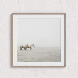 Horse Print, Minimalist Wall Art Print, Fine Art Nature Photography Print, White Horse Art, Nordic Print, Scandinavian Wall Art image 2