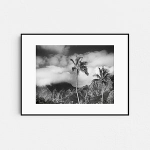 Hawaii Landscape Print, Fine Art Black and White Photography, Kauai Palm Trees, Tropical Wall Art image 4